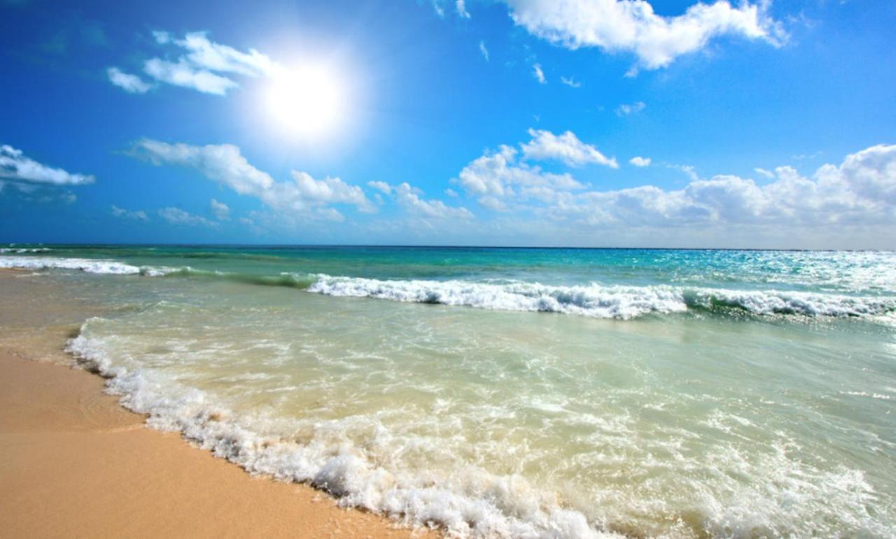 Admiral Plaza A 11 Apartment Sunny Beach Eksteriør billede